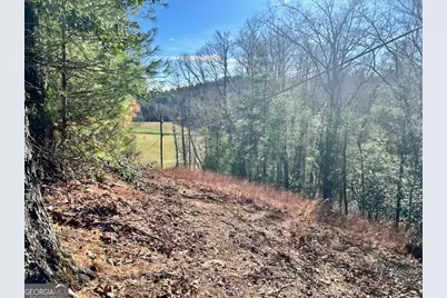 0 Corinth Church Road, Cleveland, GA 30528 - Photo 10