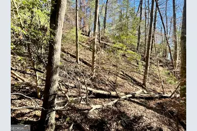 0 Corinth Church Road, Cleveland, GA 30528 - Photo 4