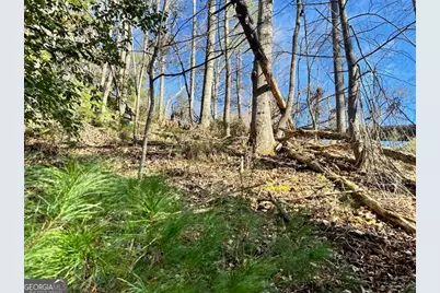 0 Corinth Church Road, Cleveland, GA 30528 - Photo 2