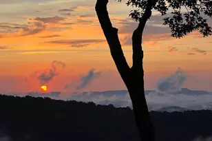 195 Hoot Owl Ridge, Morganton, GA 30560 - Photo 48