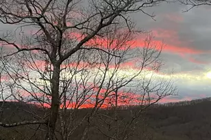 195 Hoot Owl Ridge, Morganton, GA 30560 - Photo 50