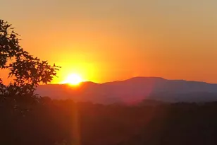 195 Hoot Owl Ridge, Morganton, GA 30560 - Photo 60