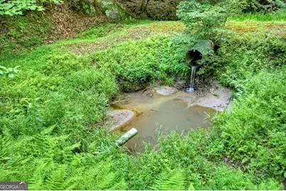 442 N Burgess Gap Road, Morganton, GA 30560 - Photo 40