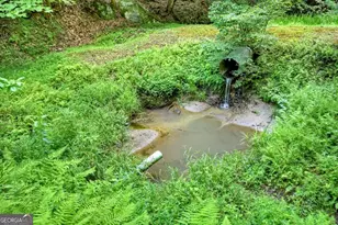 442 N Burgess Gap Rd, Morganton, GA 30560 - Photo 40