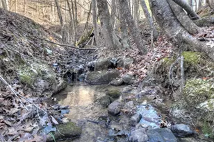 442 N Burgess Gap Rd, Morganton, GA 30560 - Photo 72