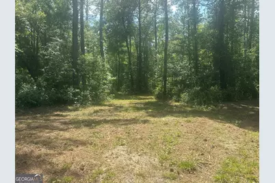 925 Cleary Road, Brooklet, GA 30415 - Photo 38