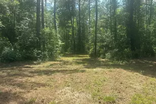 925 Cleary Rd, Brooklet, GA 30415 - Photo 38