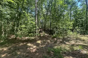 925 Cleary Rd, Brooklet, GA 30415 - Photo 40