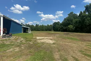 925 Cleary Rd, Brooklet, GA 30415 - Photo 34