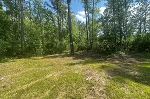 925 Cleary Rd, Brooklet, GA 30415 - Photo 46