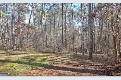 12 N Alexander Creek Road, Newnan, GA 30263 - Photo 76