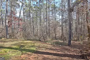 12 N Alexander Creek Rd, Newnan, GA 30263 - Photo 76