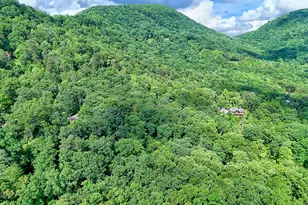 331 Black Bear Den Rd, Clayton, GA 30525 - Photo 40