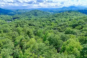 331 Black Bear Den Rd, Clayton, GA 30525 - Photo 38