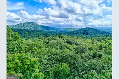 331 Black Bear Den Road, Clayton, GA 30525 - Photo 42