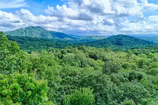 331 Black Bear Den Rd, Clayton, GA 30525 - Photo 42