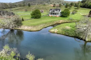 47 Downy Rd, Blue Ridge, GA 30513 - Photo 46