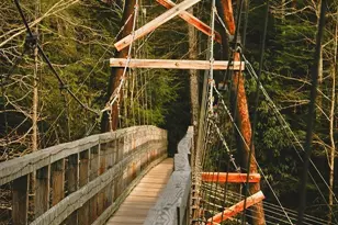 47 Downy Rd, Blue Ridge, GA 30513 - Photo 12