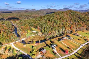 47 Downy Rd, Blue Ridge, GA 30513 - Photo 8