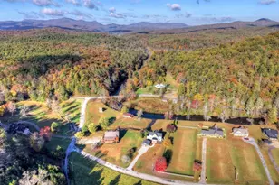 47 Downy Rd, Blue Ridge, GA 30513 - Photo 30