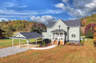 47 Downy Rd, Blue Ridge, GA 30513 - Photo 2