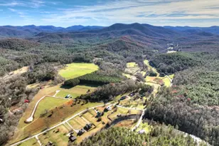 47 Downy Rd, Blue Ridge, GA 30513 - Photo 22