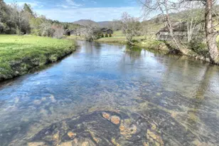 47 Downy Rd, Blue Ridge, GA 30513 - Photo 70