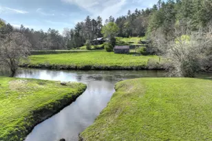 47 Downy Rd, Blue Ridge, GA 30513 - Photo 54