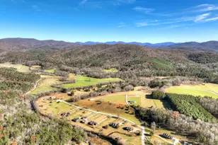 47 Downy Rd, Blue Ridge, GA 30513 - Photo 26