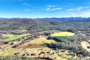 47 Downy Rd, Blue Ridge, GA 30513 - Photo 10