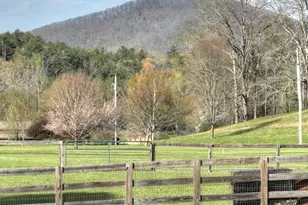 47 Downy Rd, Blue Ridge, GA 30513 - Photo 44