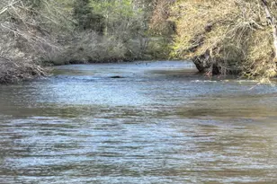 47 Downy Rd, Blue Ridge, GA 30513 - Photo 2