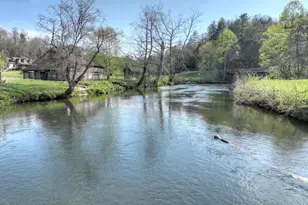 47 Downy Rd, Blue Ridge, GA 30513 - Photo 68