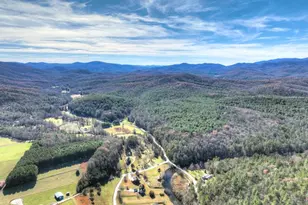 47 Downy Rd, Blue Ridge, GA 30513 - Photo 14