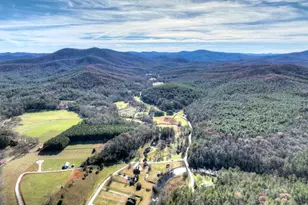 47 Downy Rd, Blue Ridge, GA 30513 - Photo 10