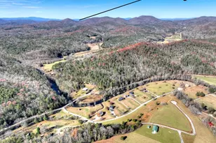 47 Downy Rd, Blue Ridge, GA 30513 - Photo 14