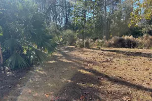 131 Huckabee St, McRae-Helena, GA 31055 - Photo 8