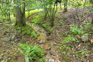 430 Chestnut Ridge, Blue Ridge, GA 30513 - Photo 20