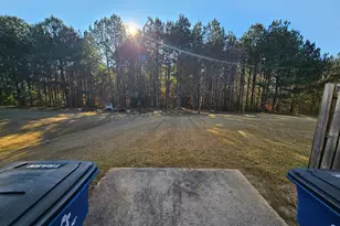 171 White Mountain Pass, McDonough, GA 30252 - Photo 38