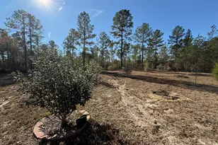 728 Martin Rd, Kite, GA 31049 - Photo 20