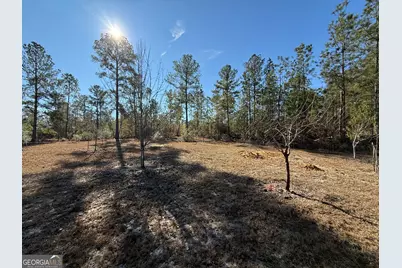 728 Martin Road, Kite, GA 31049 - Photo 24