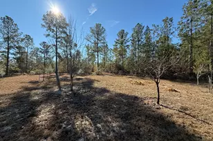 728 Martin Rd, Kite, GA 31049 - Photo 24