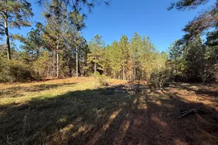 728 Martin Rd, Kite, GA 31049 - Photo 38