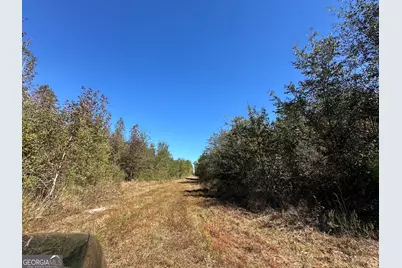 68 Sand Ridge Road, Rhine, GA 31077 - Photo 18