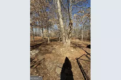 1528 Willow Gate Way, Auburn, GA 30011 - Photo 26