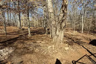 1528 Willow Gate Way, Auburn, GA 30011 - Photo 26