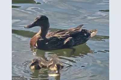 3102 Walt Stephens Road, Jonesboro, GA 30236 - Photo 38