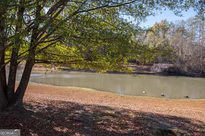 215 Highland Park Drive, Bonaire, GA 31005 - Photo 72