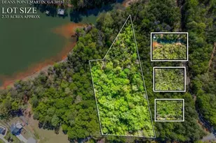 Tract 2 Deans Point, Martin, GA 30557 - Photo 1