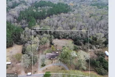 312 Henson Road, Hawkinsville, GA 31036 - Photo 4